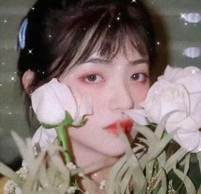 凯尔斯的秘密