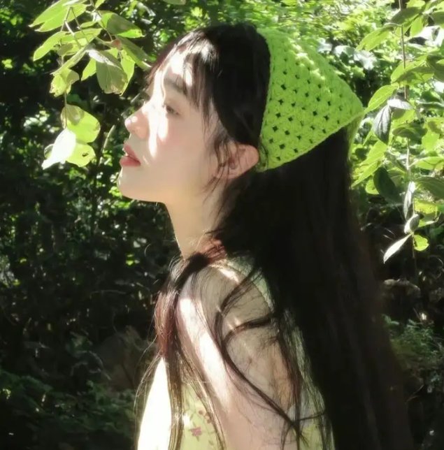 法律至上1