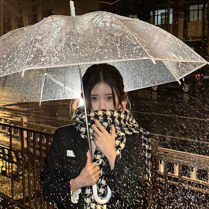 成功的滋味 (2009年电影)