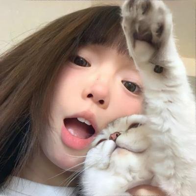 和歌子酒第二季