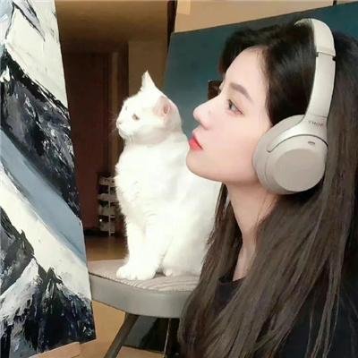 太空狗与涡轮猫